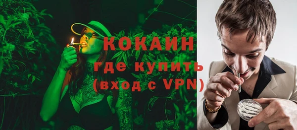 амф Липки
