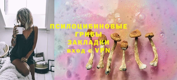 а пвп мука Болотное