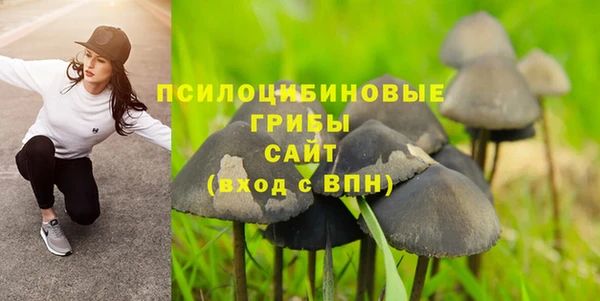 прущие грибы Лагань