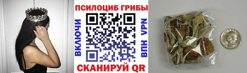 Галлюциногенные грибы мицелий  где можно купить наркотик  Нелидово 